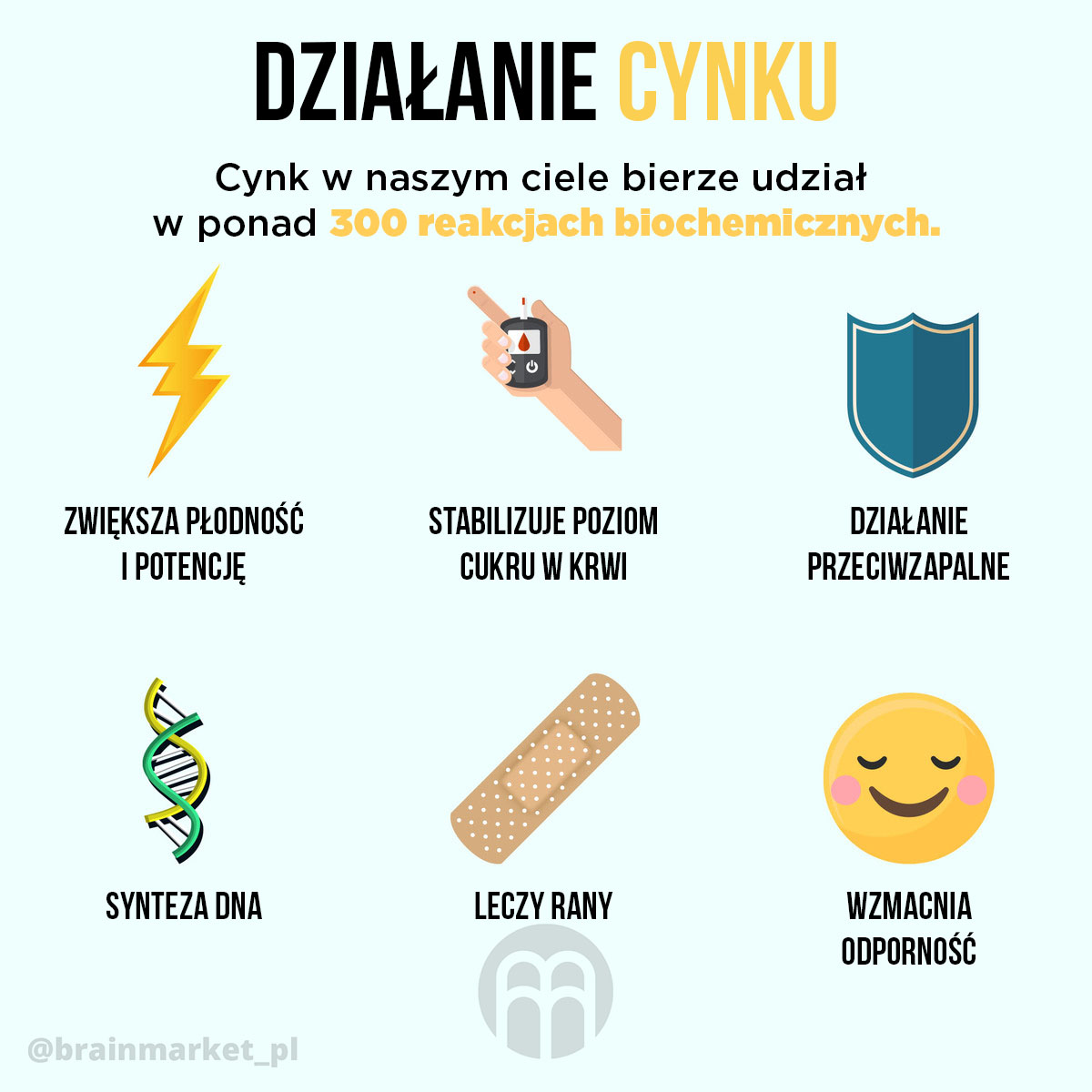 zinek-ucinky infografika brainmarket PL